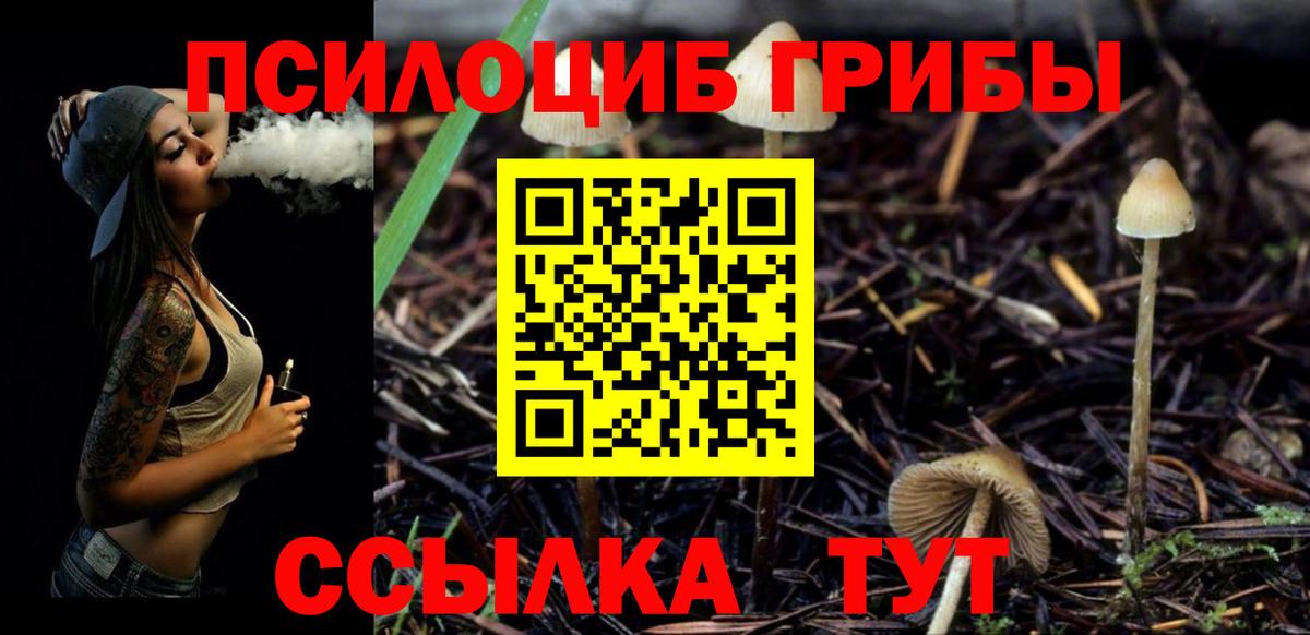 Псилоцибиновые грибы GOLDEN TEACHER  Вход с VPN  где можно купить   Сорочинск  Галлюциногенные грибы прущие грибы 